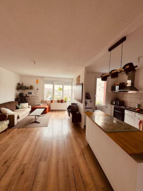 Bel appartement proche Mulhouse